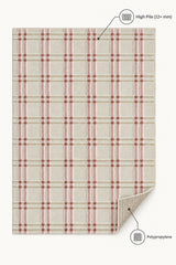 Quincey Plush Kids Area Rug – Plaid – features