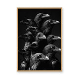 Raven Photography Modern Wall Art – Dramatic Black and White Bird Print