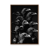 Raven Photography Modern Wall Art – Dramatic Black and White Bird Print