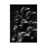 Raven Photography Modern Wall Art – Dramatic Black and White Bird Print