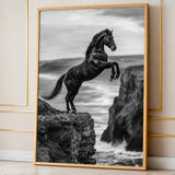 Rearing Horse Coastal Wall Art – Black and White Seaside Cliff Print