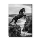 Rearing Horse Coastal Wall Art – Black and White Seaside Cliff Print