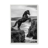 Rearing Horse Coastal Wall Art – Black and White Seaside Cliff Print