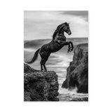 Rearing Horse Coastal Wall Art – Black and White Seaside Cliff Print
