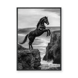 Rearing Horse Coastal Wall Art – Black and White Seaside Cliff Print