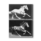Running Horses Pop Art Wall Art – Black and White Halftone Duo