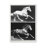 Running Horses Pop Art Wall Art – Black and White Halftone Duo