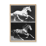 Running Horses Pop Art Wall Art – Black and White Halftone Duo