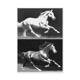 Running Horses Pop Art Wall Art – Black and White Halftone Duo