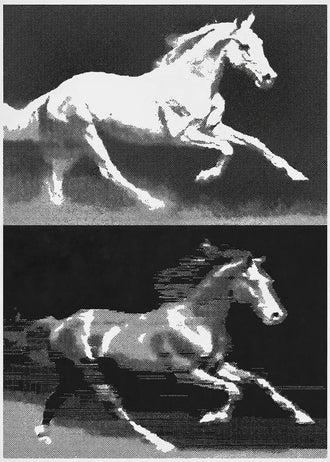 Running Horses Pop Art Wall Art – Black and White Halftone Duo