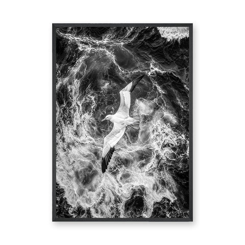 Seabird Ocean Coastal Wall Art – Black and White Wave Photography