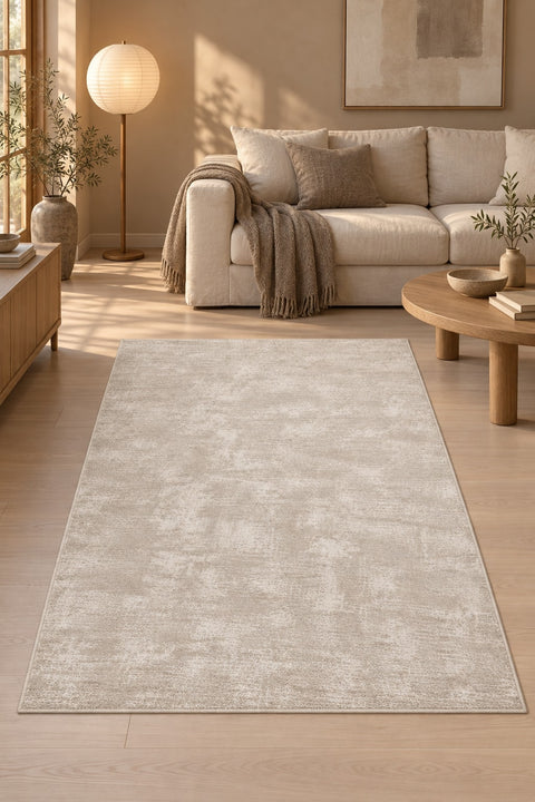Striped Area Rug in a living room