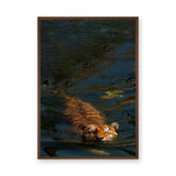 Swimming Tiger Modern Wall Art – Dramatic Dark Blue Water Photograph