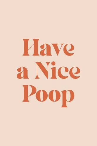 Typography Retro Wall Art – Funny Have a Nice Poop Quote Print