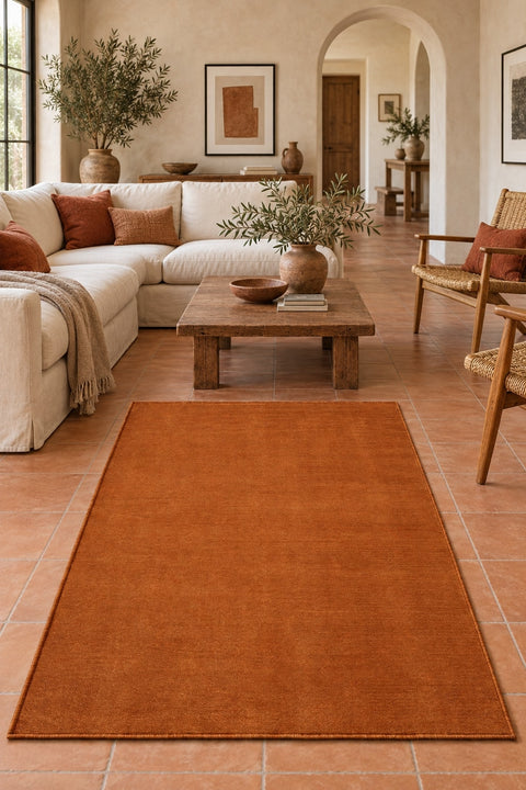 Valeria Modern Area Rug in a living room