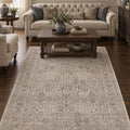 Valeria Vintage Area Rug in a living room
