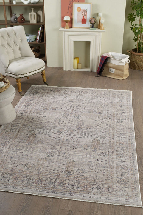 Valeria Vintage Area Rug in a living room