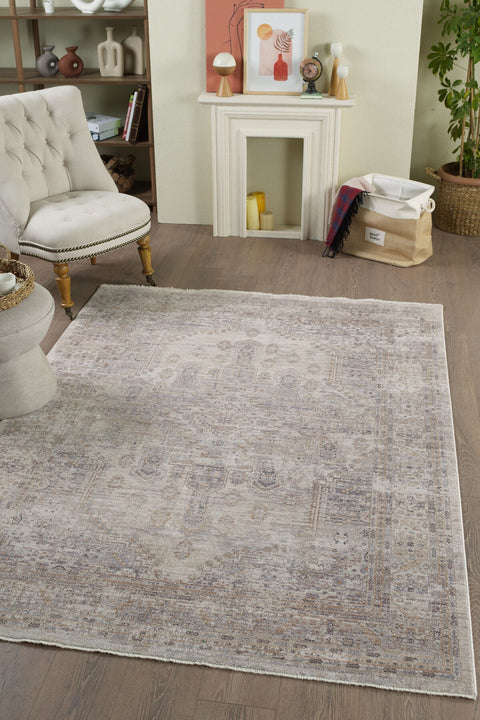 Valeria Vintage Area Rug – Cream & Gray in a living room