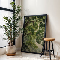 Retro Woodland Nature Illustration | Green Forest Canopy Wall Décor Poster | Tree Ceiling Botanical Décor Print