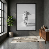 White Horse Desert Photography Modern Wall Art – Black and White Dunes