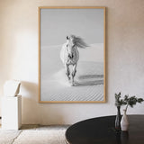 White Horse Desert Photography Modern Wall Art – Black and White Dunes