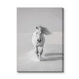 White Horse Desert Photography Modern Wall Art – Black and White Dunes