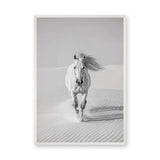 White Horse Desert Photography Modern Wall Art – Black and White Dunes