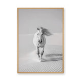 White Horse Desert Photography Modern Wall Art – Black and White Dunes