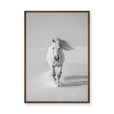 White Horse Desert Photography Modern Wall Art – Black and White Dunes
