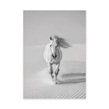 White Horse Desert Photography Modern Wall Art – Black and White Dunes