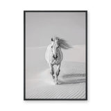White Horse Desert Photography Modern Wall Art – Black and White Dunes