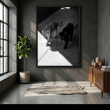 Wild Cat Photography Modern Wall Art – Black Panther and Jaguar Duo