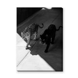 Wild Cat Photography Modern Wall Art – Black Panther and Jaguar Duo