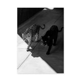 Wild Cat Photography Modern Wall Art – Black Panther and Jaguar Duo