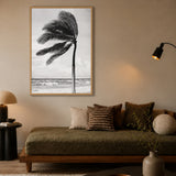 Windblown Palm Coastal Wall Art – Black and White Beach Photograph