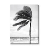 Windblown Palm Coastal Wall Art – Black and White Beach Photograph