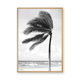 Windblown Palm Coastal Wall Art – Black and White Beach Photograph