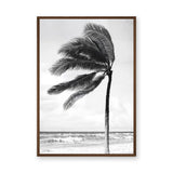 Windblown Palm Coastal Wall Art – Black and White Beach Photograph