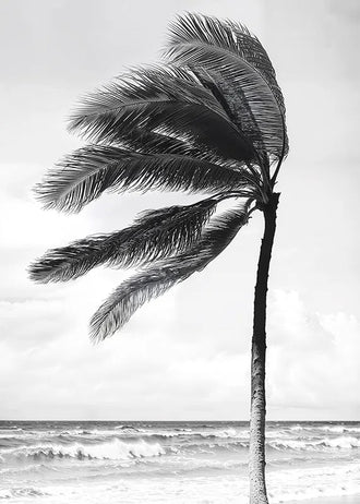 Windblown Palm Coastal Wall Art – Black and White Beach Photograph