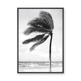Windblown Palm Coastal Wall Art – Black and White Beach Photograph