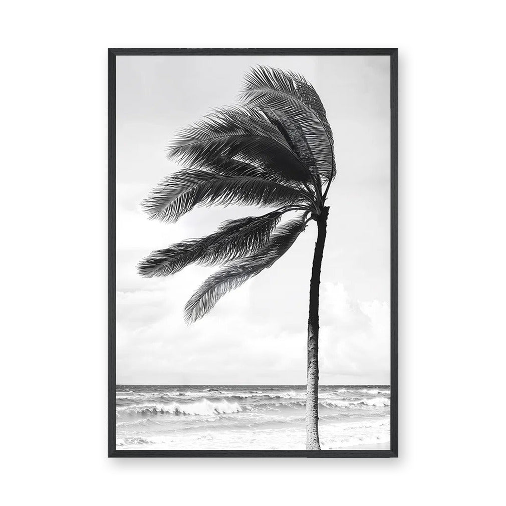 Windblown Palm Coastal Wall Art – Black and White Beach Photograph