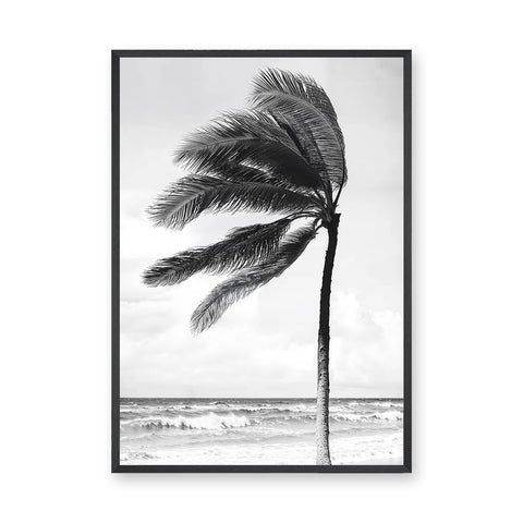 Windblown Palm Coastal Wall Art – Black and White Beach Photograph