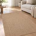 Woven Boho Area Rug – Brown in a living room